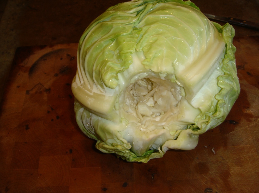 14 core cabbage | Sensible Survival